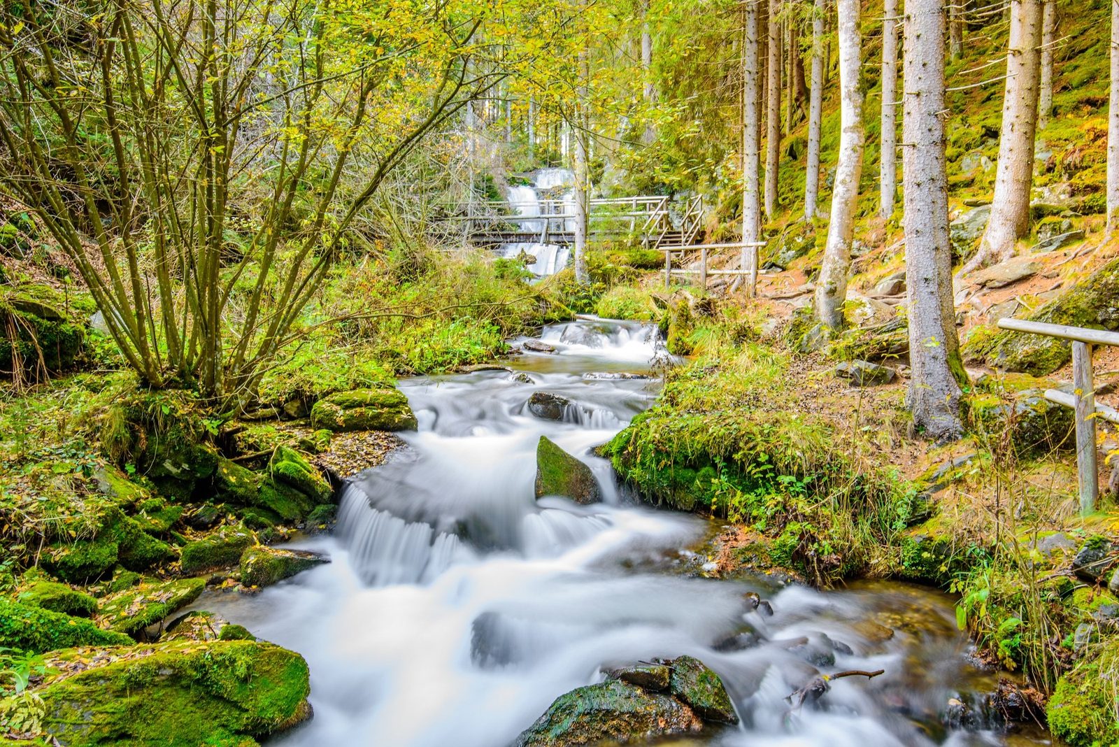 Kaskadenwasserfall in der Graggerschlucht